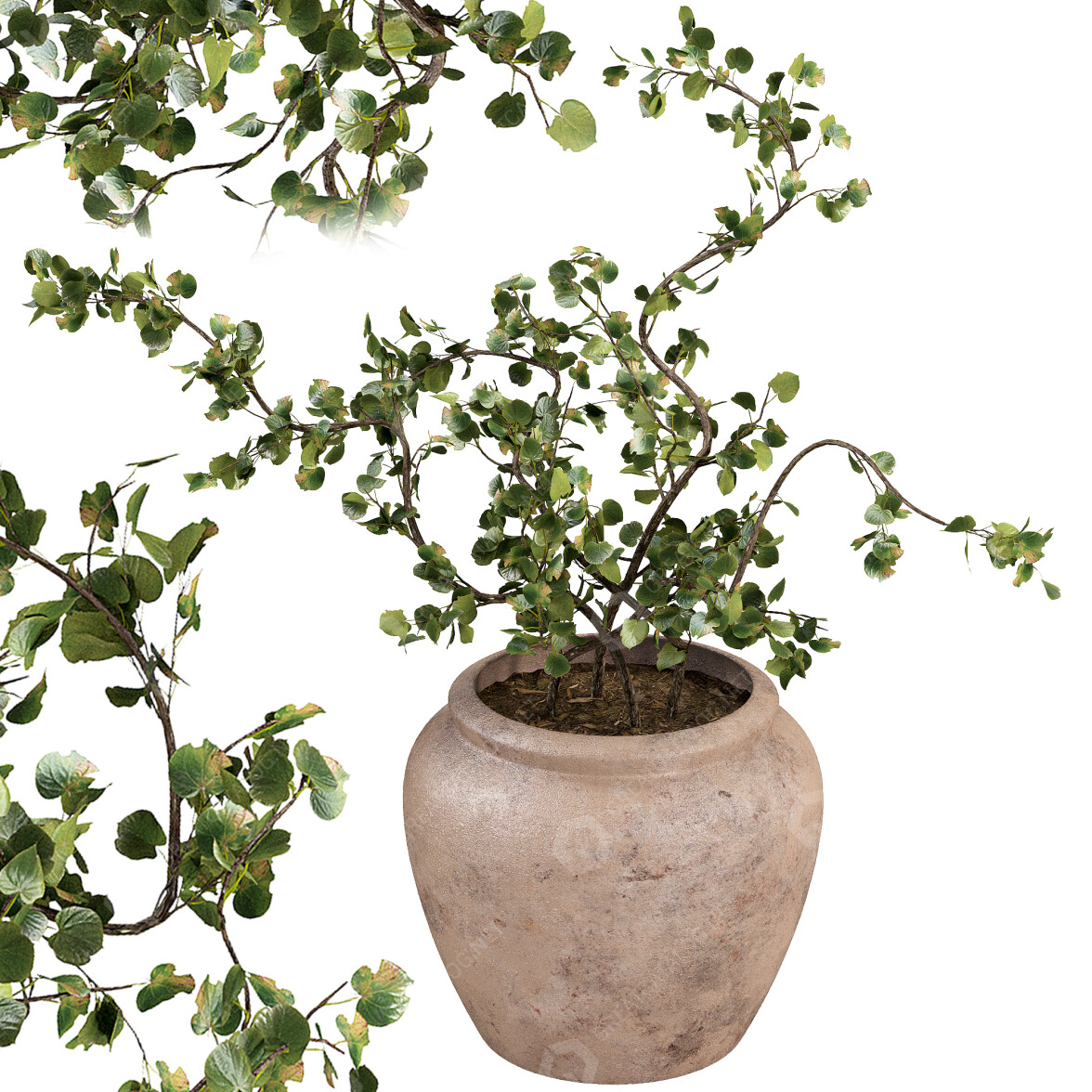 Potted Plant West Elm Faux Wire Netting Bush 3D model GreatCatalog 39731