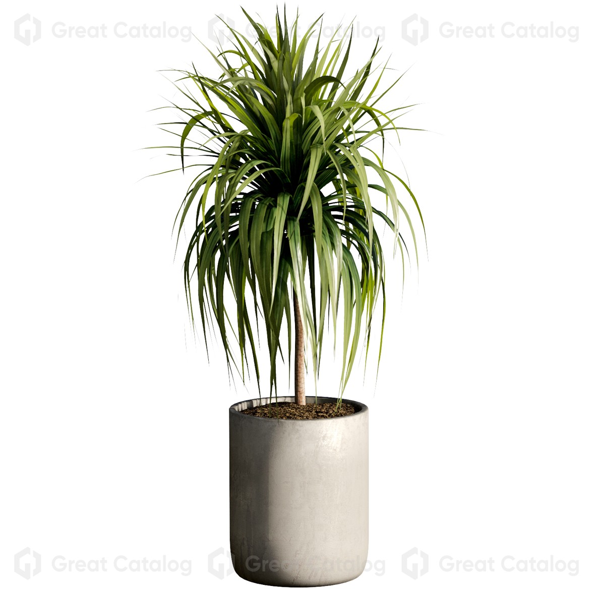 Potted Plants Indoor 25 3D model GreatCatalog 70858