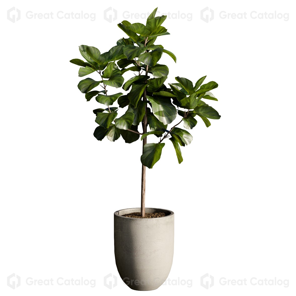 Potted Plants Indoor 25 3D model GreatCatalog 70858