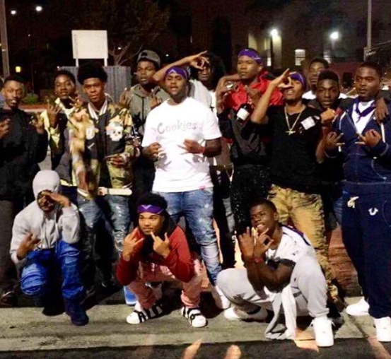 Crips Gangster Bruin Blog