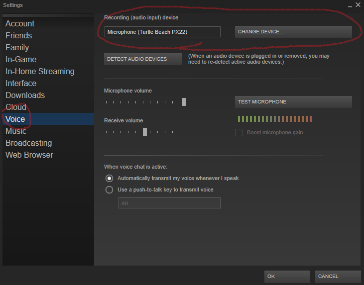 Mic not working in game. Troubleshooting DayZRP