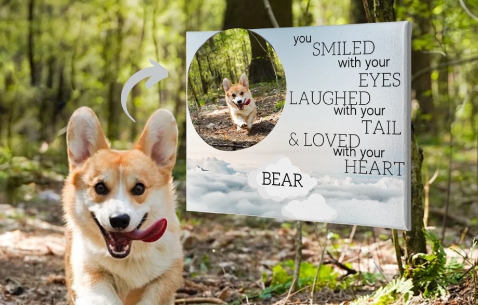 What Can I Do in Memory of a Dead Dog? Don’t be afraid to bite on a