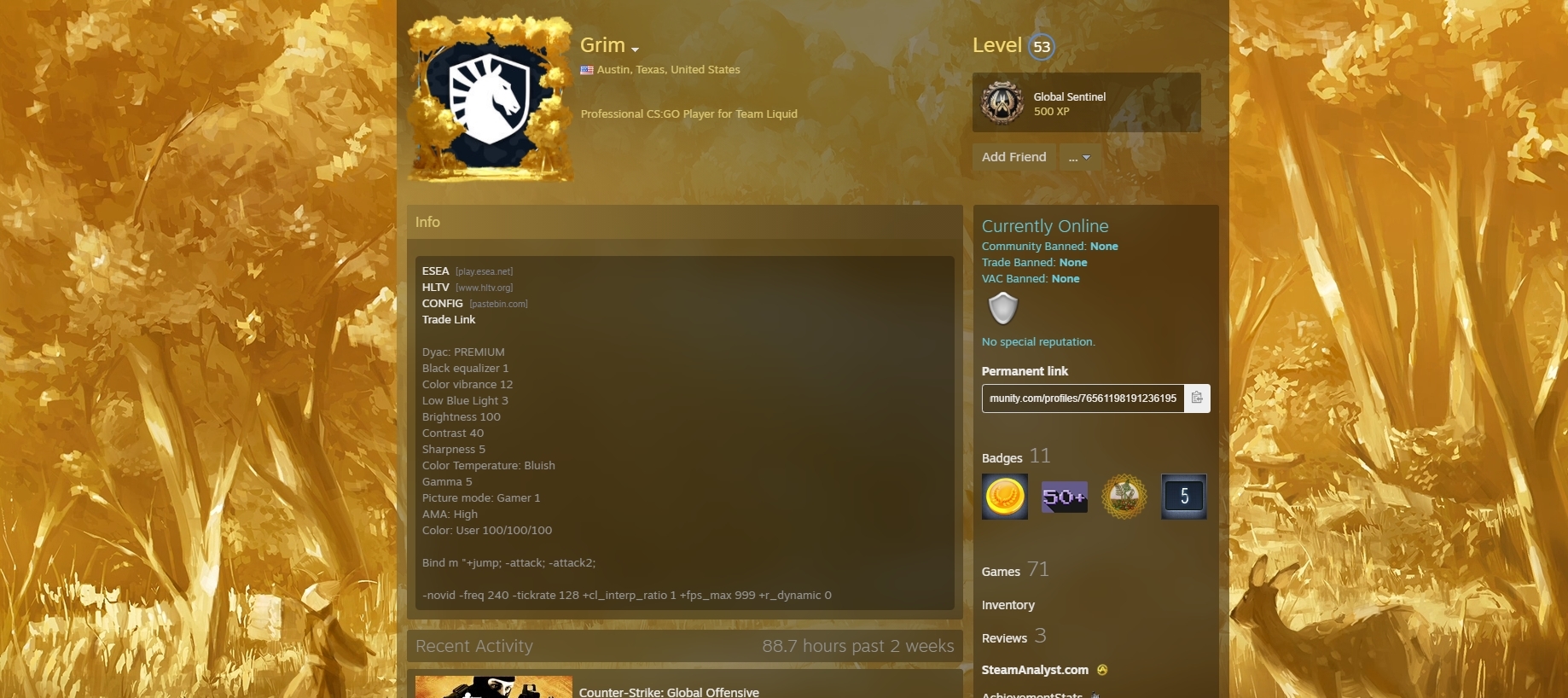 [Q] How to get this exact steam profile background and avatar thing