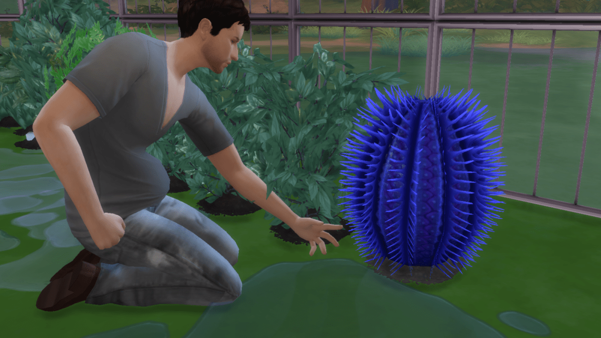 What is this plant? — The Sims Forums