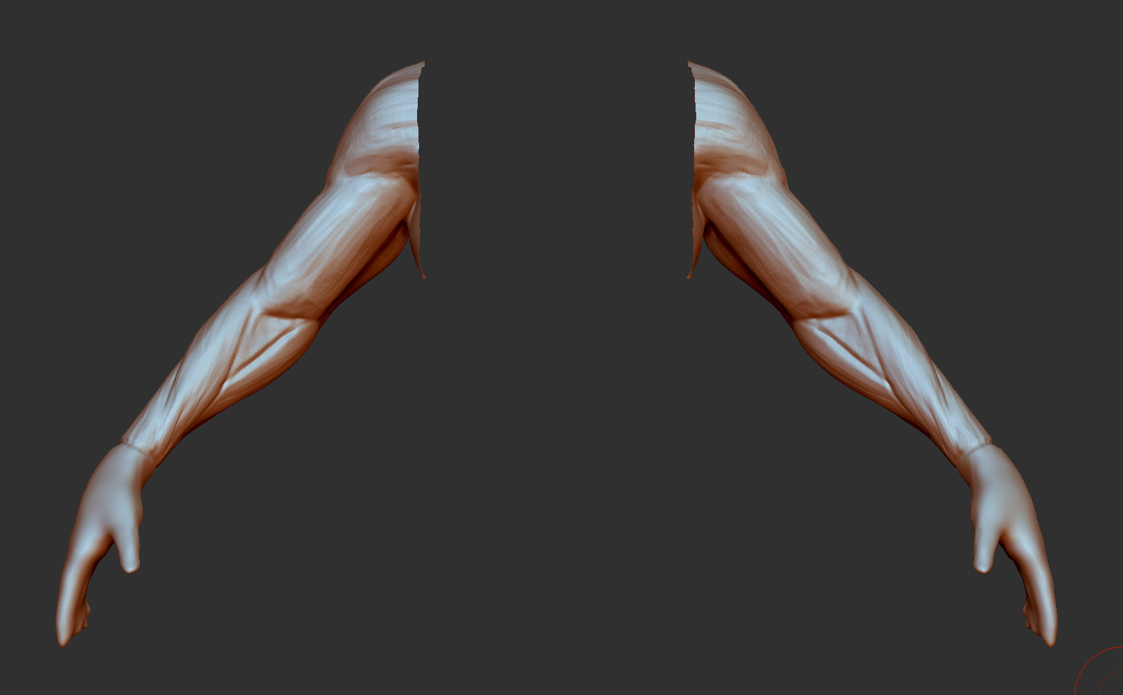 Arm anatomy study for first person presentation — polycount
