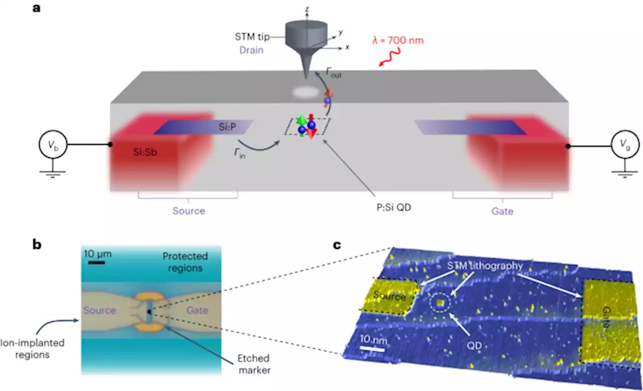 A solidstate quantum microscope for wavefunction control of an atombased quantum dot device in