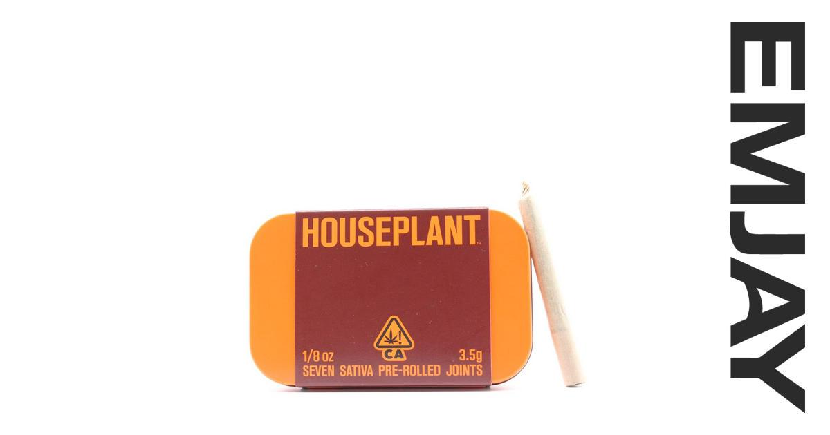 Houseplant Pancake Ice 7 Pack Emjay