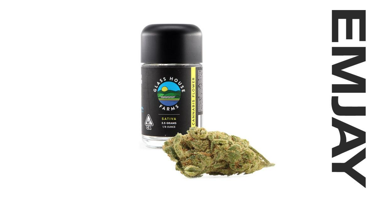 Glass House Farms Super Silver Haze 1/8 Emjay