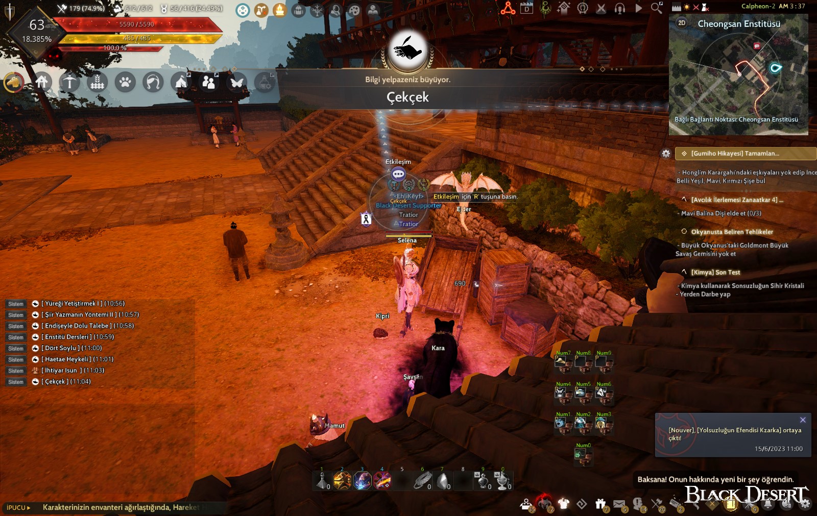 人力車 黑色沙漠 資料庫 BDO Codex