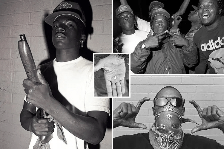 Holmes Street Watts Crips