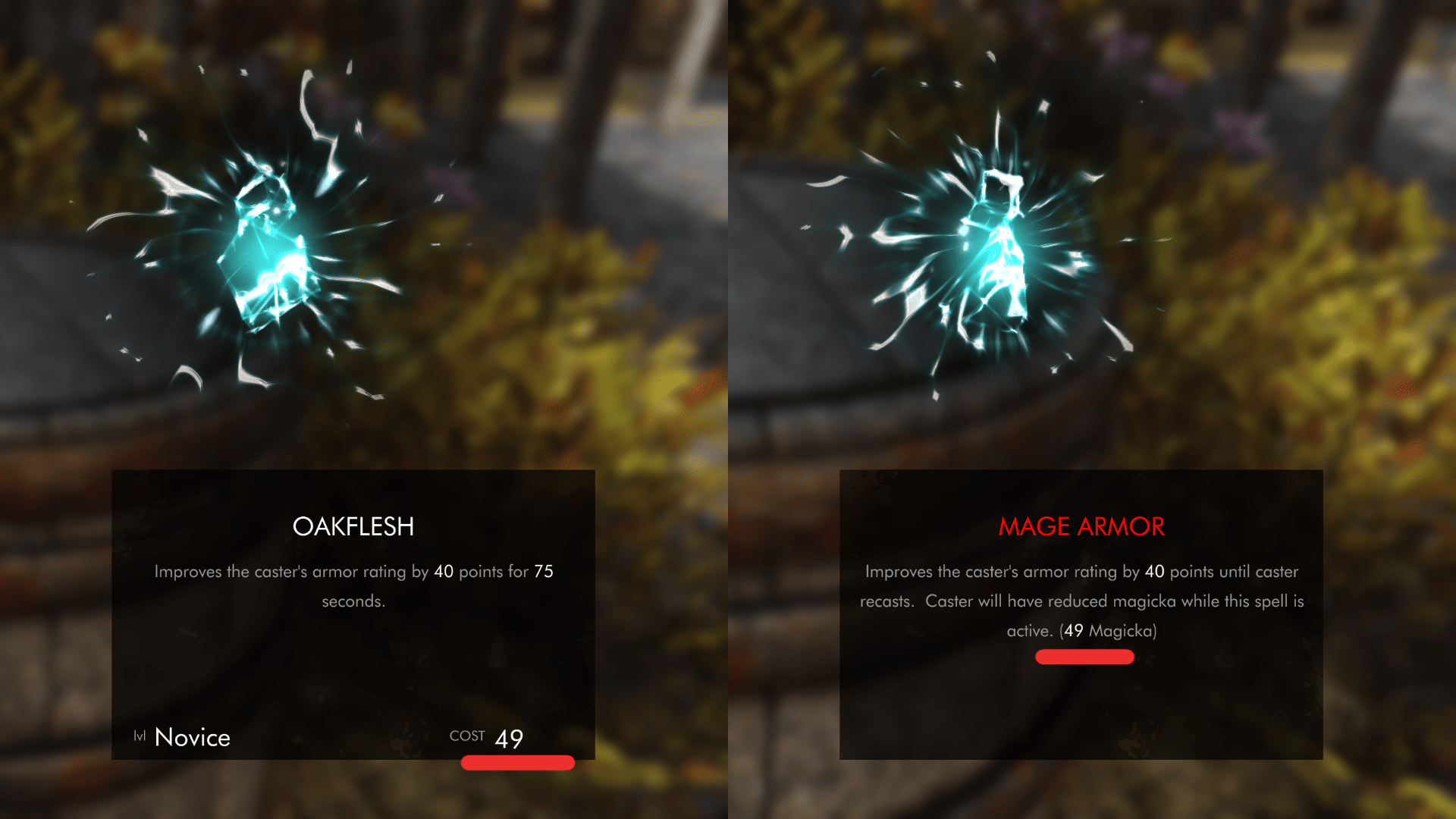 Lasting Flesh Spells Sustain your Spell Armor with Magicka at Skyrim