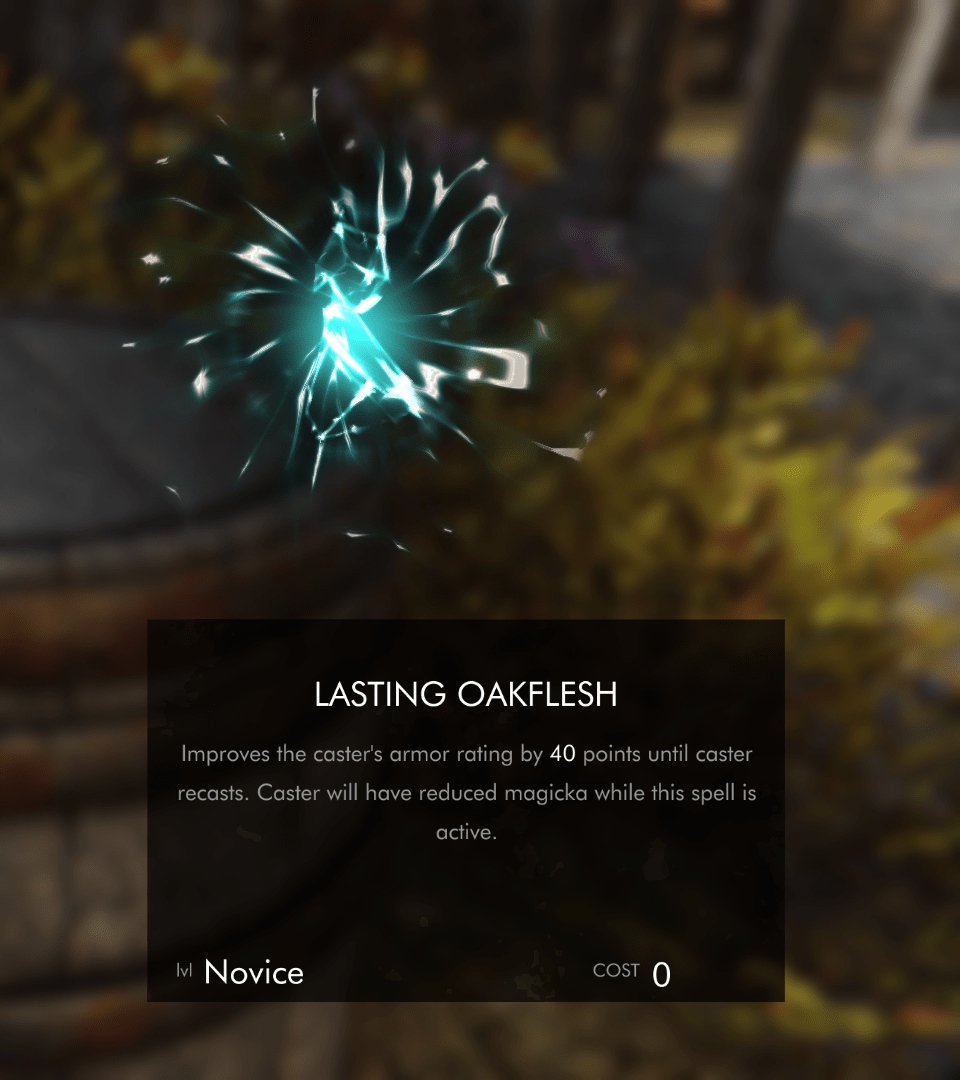 Lasting Flesh Spells Sustain your Spell Armor with Magicka at Skyrim