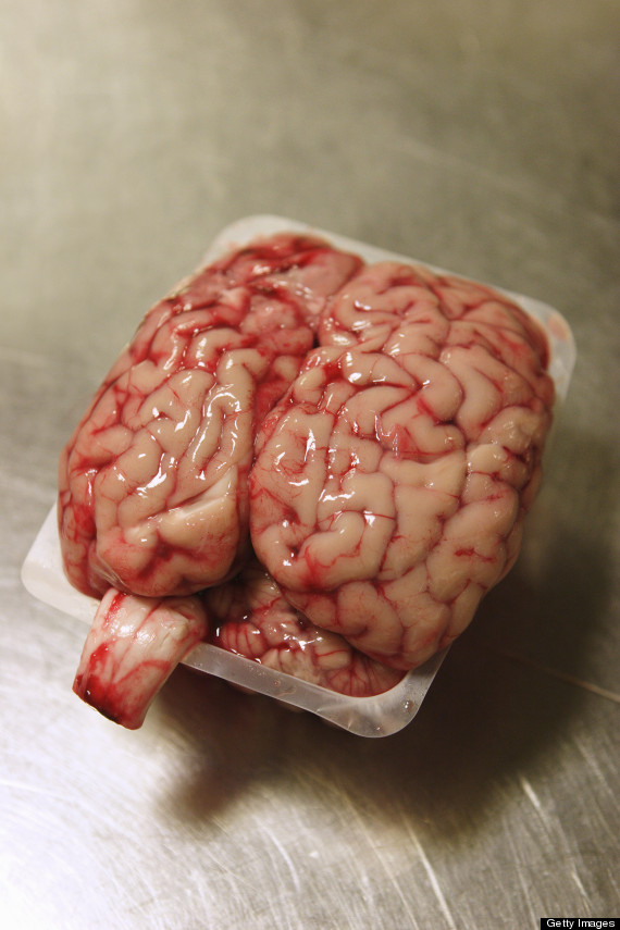 21 Kinds Of Offal, Ranked By How Gross They Look (PHOTOS) HuffPost