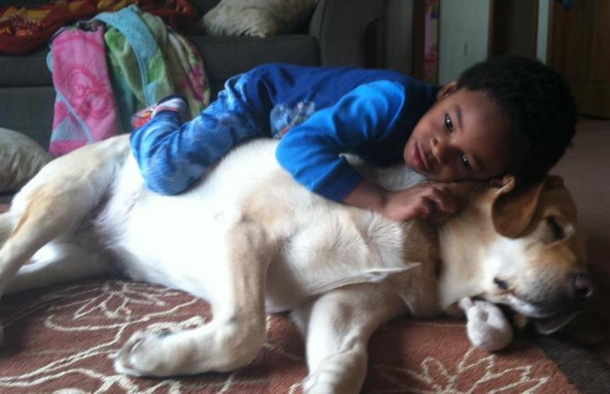 Dogs And Babies Sleeping Are What The World Needs Now HuffPost