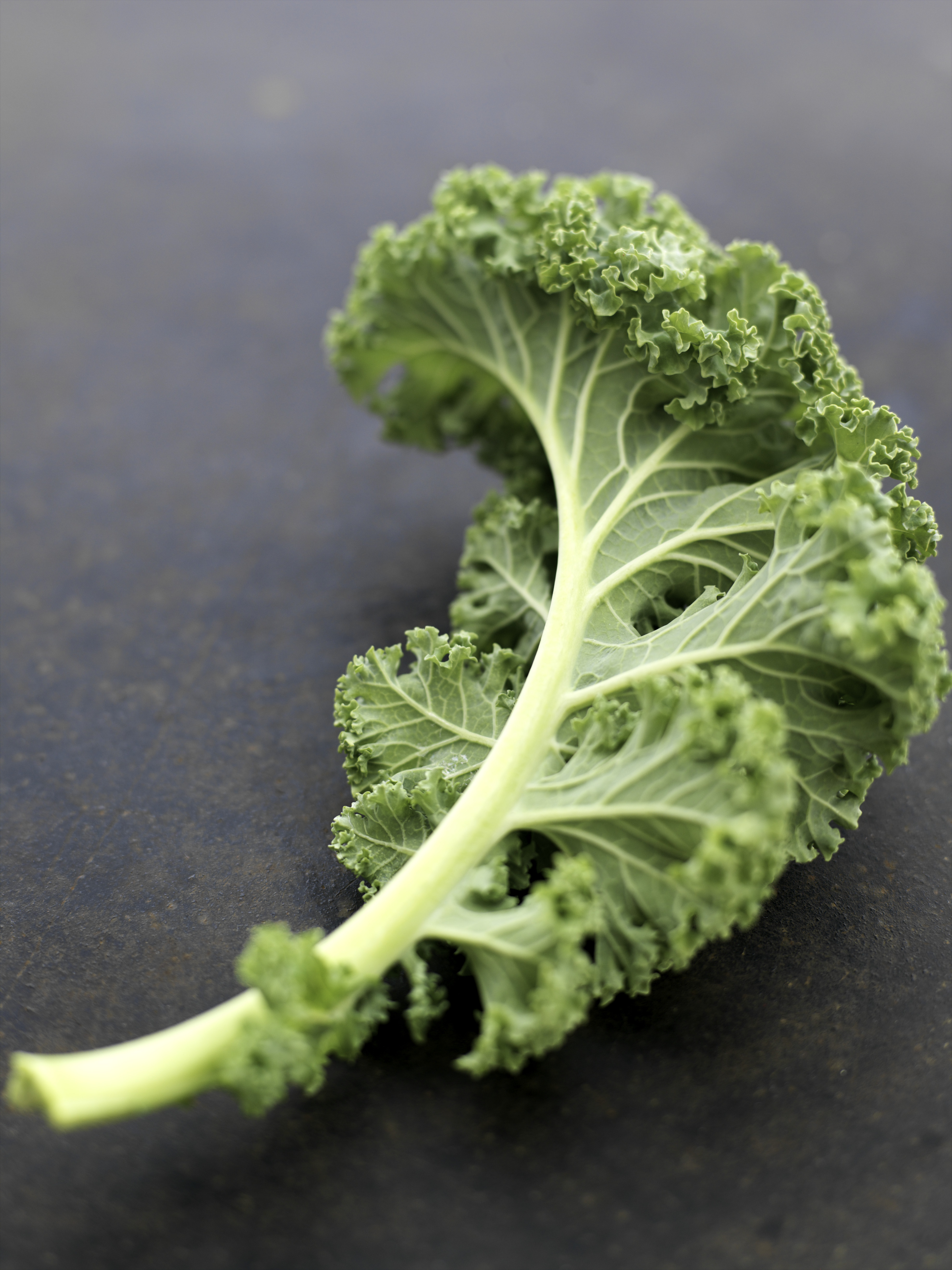 Kale, le chou dont tout le monde parle