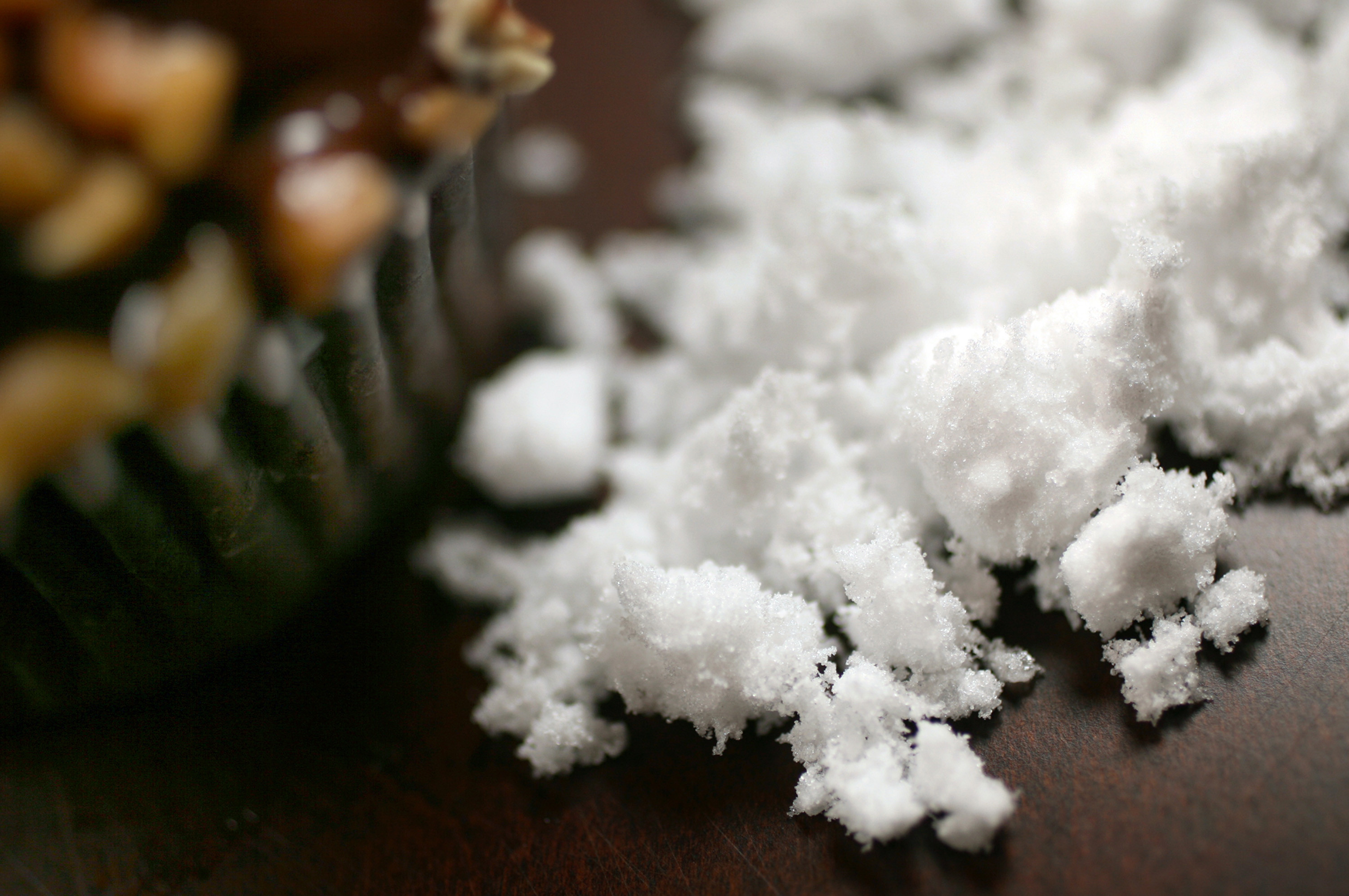 Fall Toxins That Are Poisonous To Pets Common Poison Control