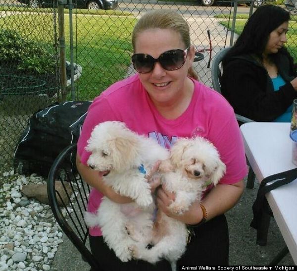 How Anyone Could Mistreat And Dump These Poodles Is Beyond Us HuffPost