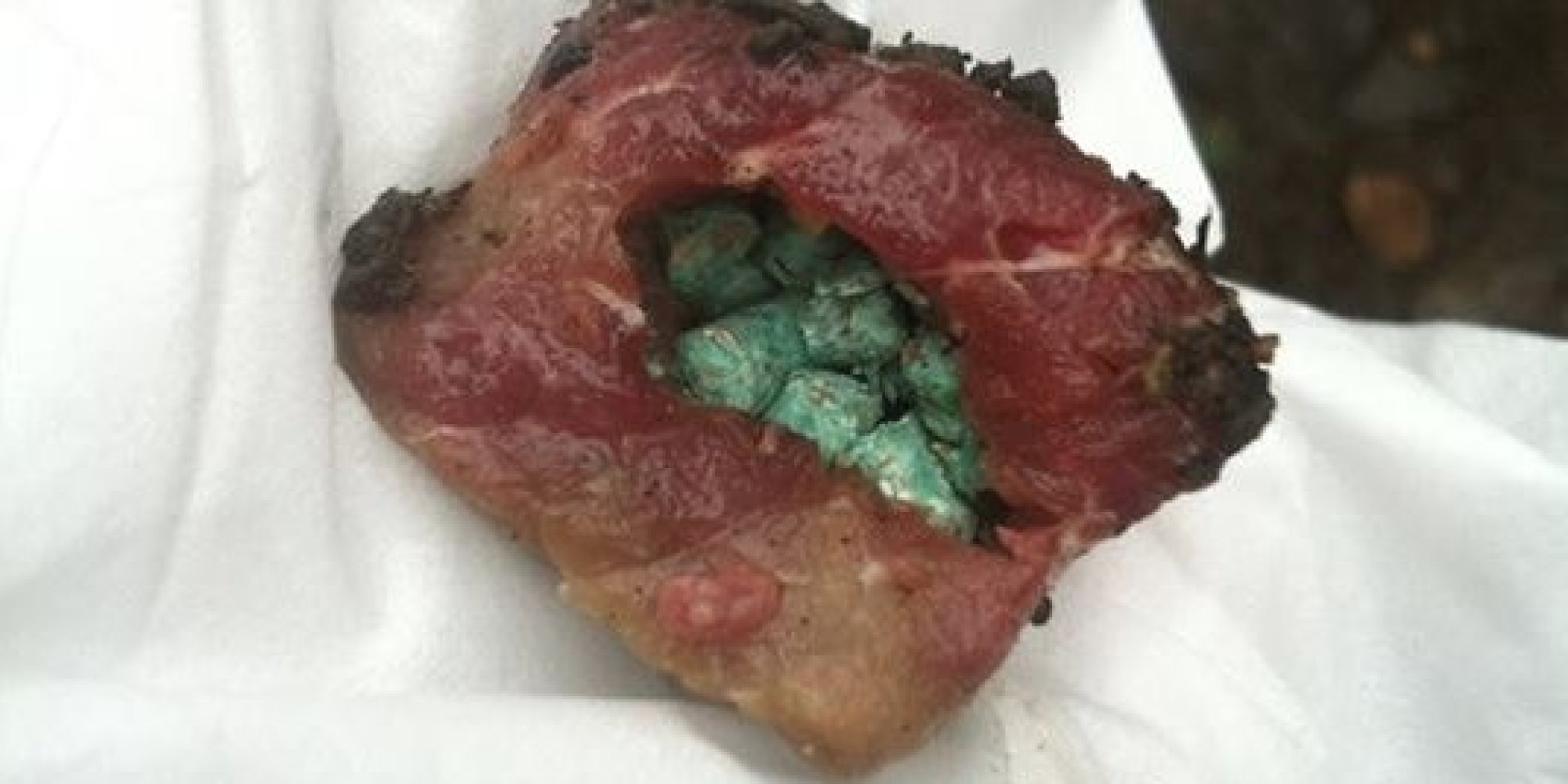Was Meat Packed With Poison Left For Dogs In This Seattle Park?