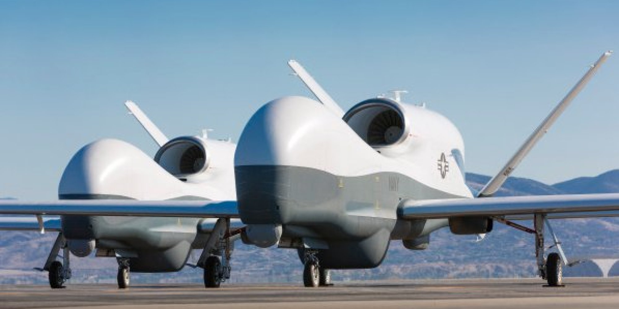 US Army To Have 'Nano' Insect Drones By 2030s, Internal Roadmap Reveals