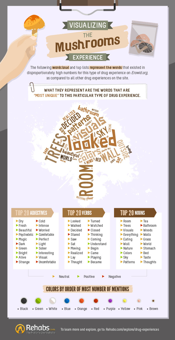 These Are The Words Most Often Used To Describe Cocaine, LSD, And Other