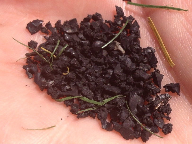 Why These Goalies Are Worried About Unknown Toxins In Artificial Turf