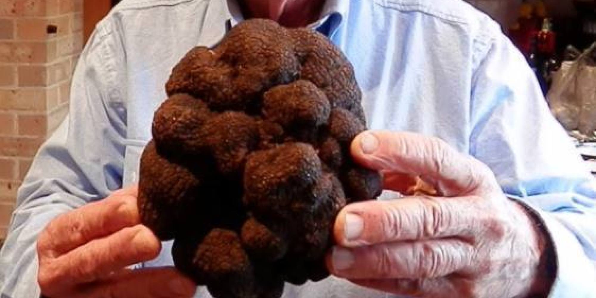 This Is What A 2,500 Truffle Looks Like