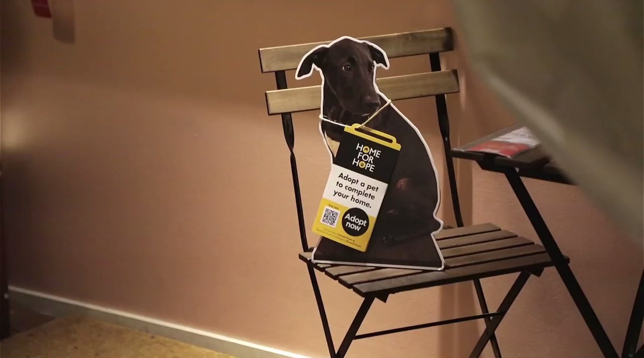 Ikea Advertises Adoptable Dogs In Stores, Because Every Home Needs A