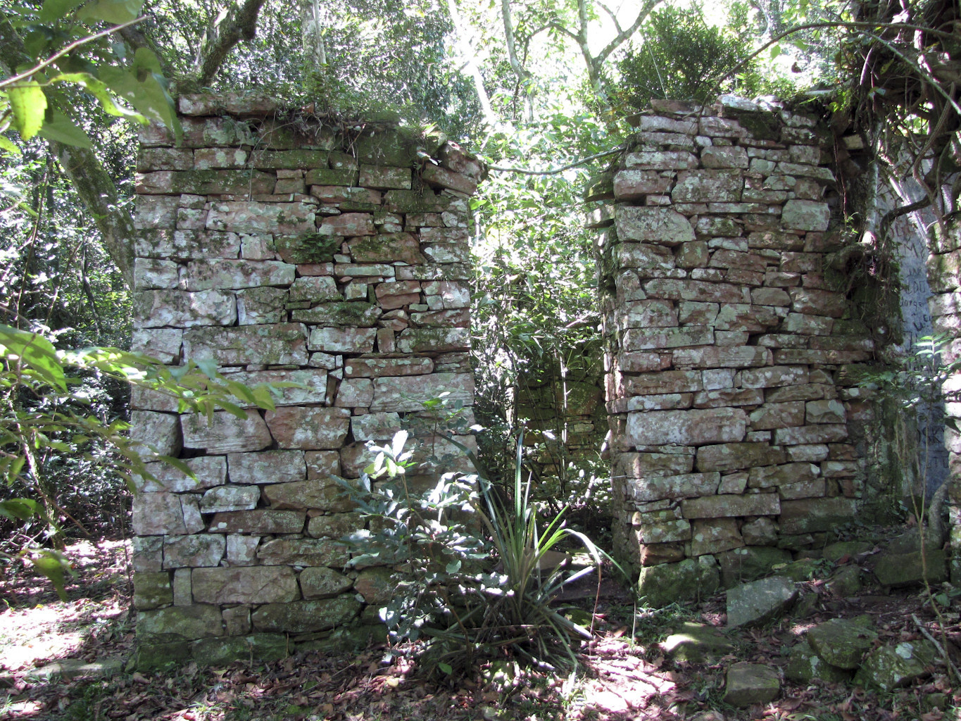 Nazi Lair From World War II Found Hidden In Argentina Jungle HuffPost