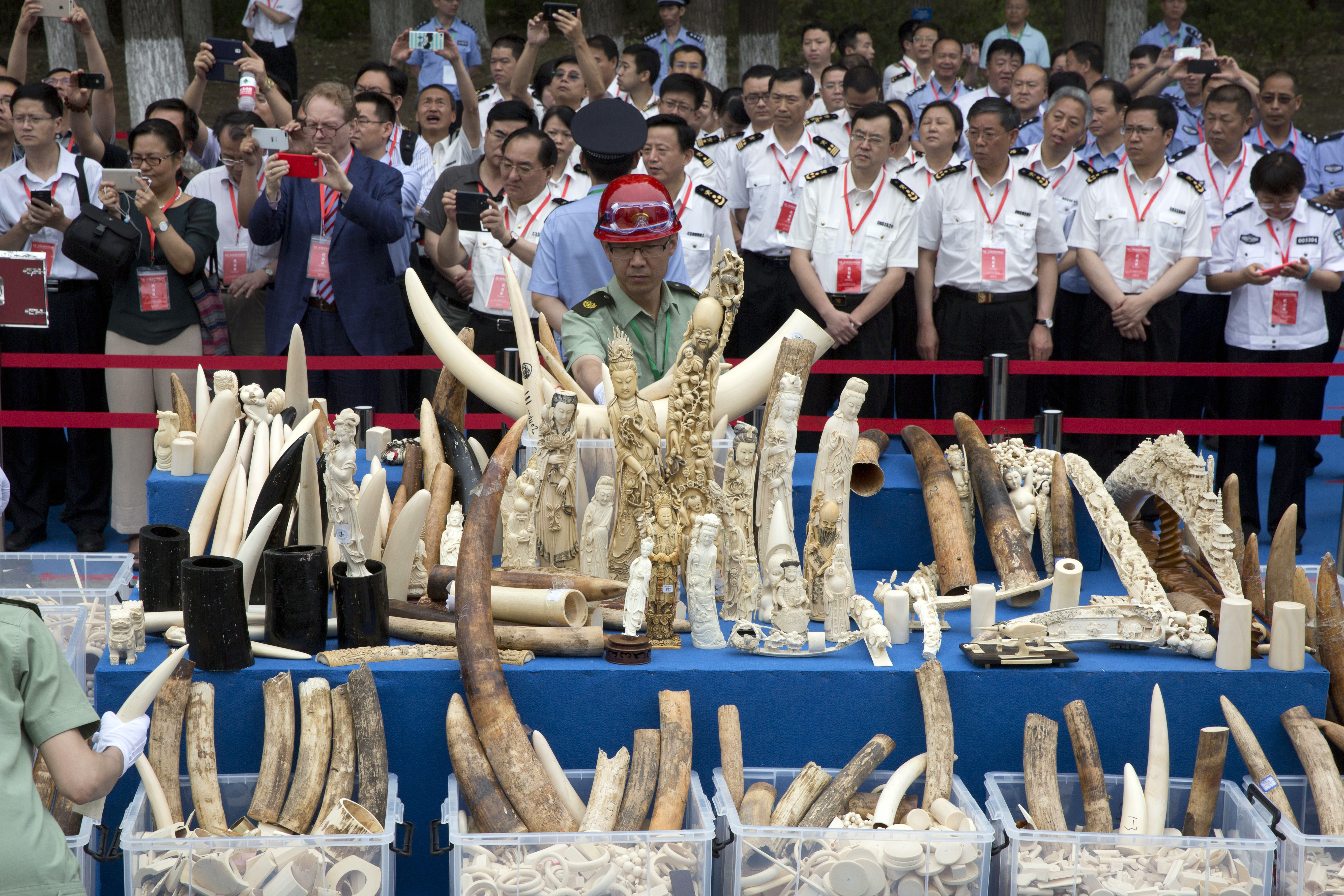 China Pledges To Wipe Out Its Ivory Industry HuffPost