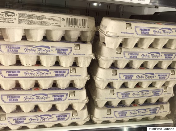 Gray Ridge Egg Farm Accused Of Keeping Hens In Cruel Conditions (GRAPHIC)