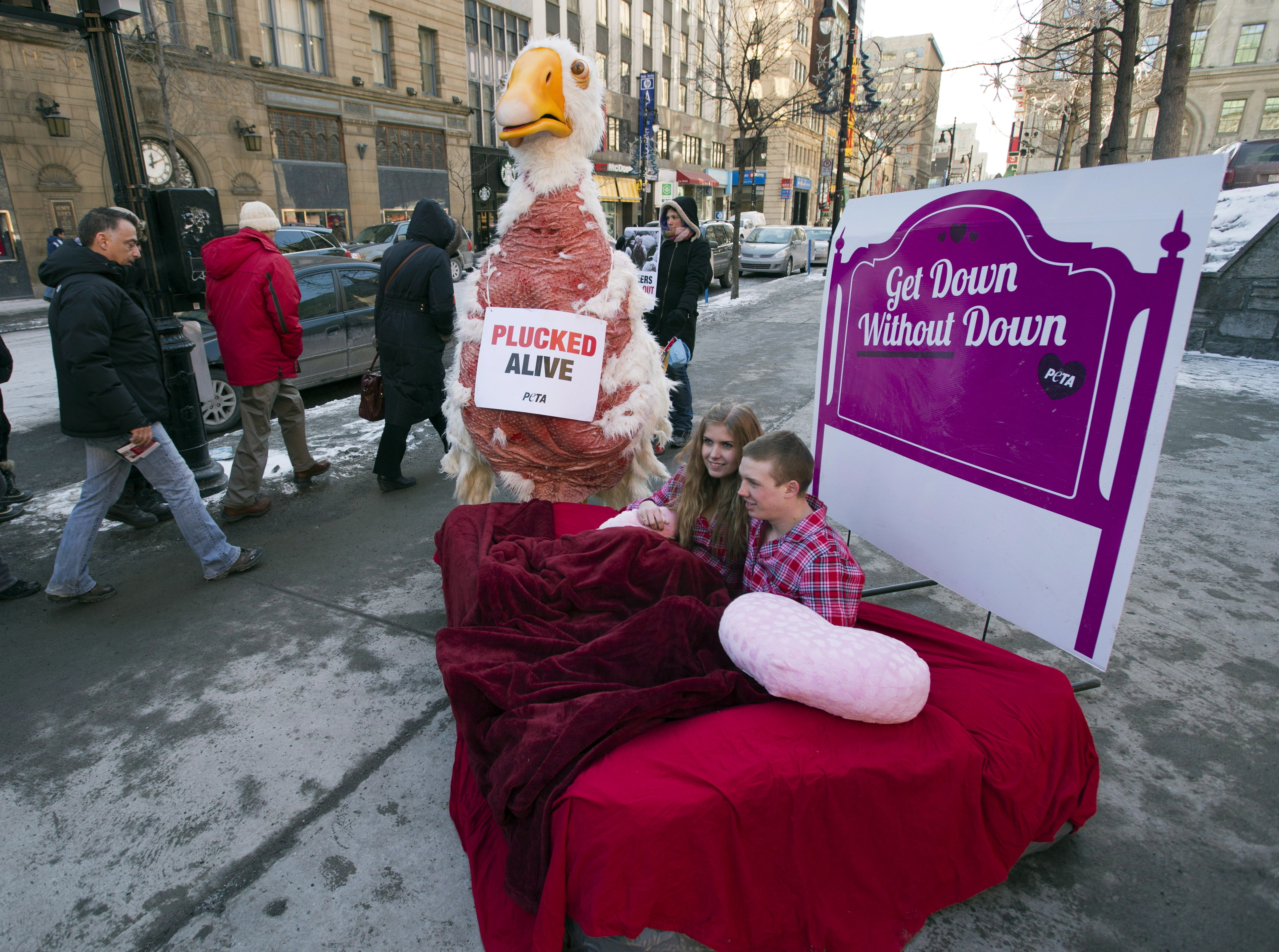 Canada Goose's NYC Opening Meets Resistance From Animal Activists