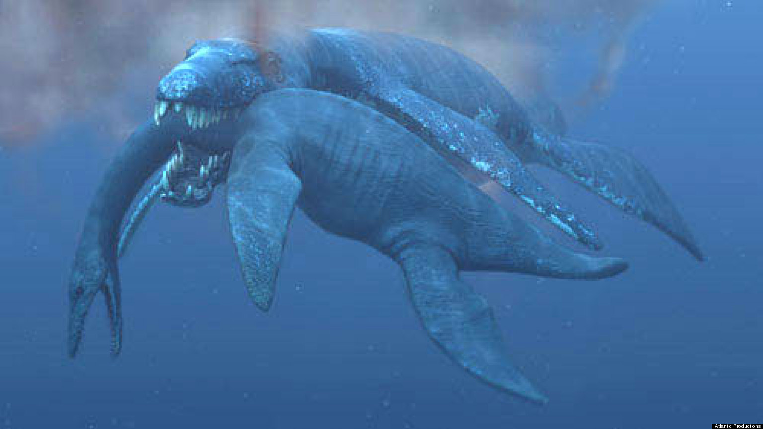 'Predator X,' Prehistoric Marine Reptile, Given Official
