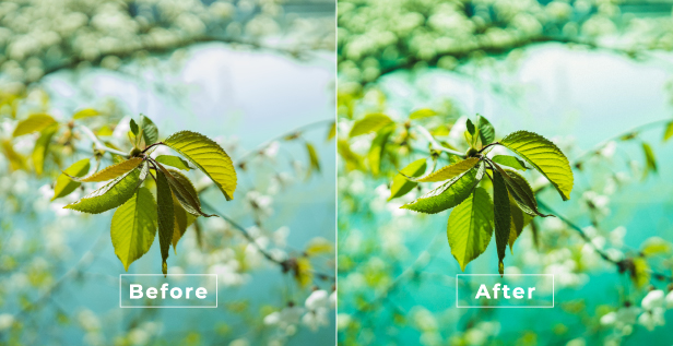 Download 100 Dramatic LUTs Color Grading [Updated & Nulled]