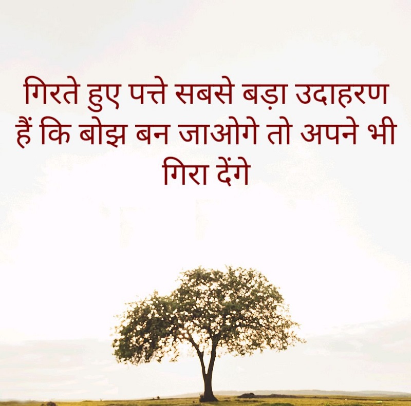 Top 10 Whatsapp Status In Hindi Viral Stories Finance