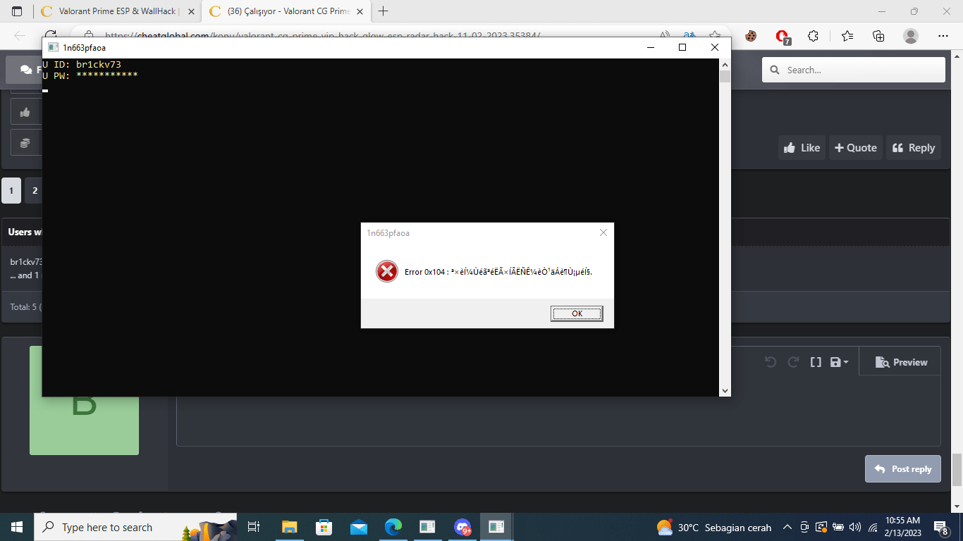Çalışıyor Valorant CG Prime VIP Hack Glow ESP, Radar Hack [11.02.