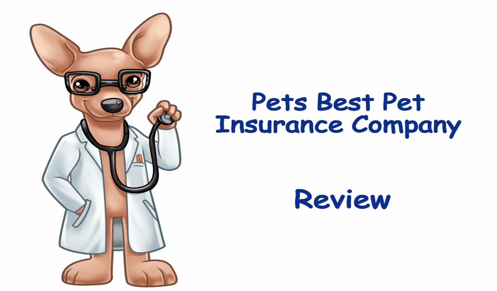 Techniques To Pets Insurance Reviews That Just A Few Know About UpChucky