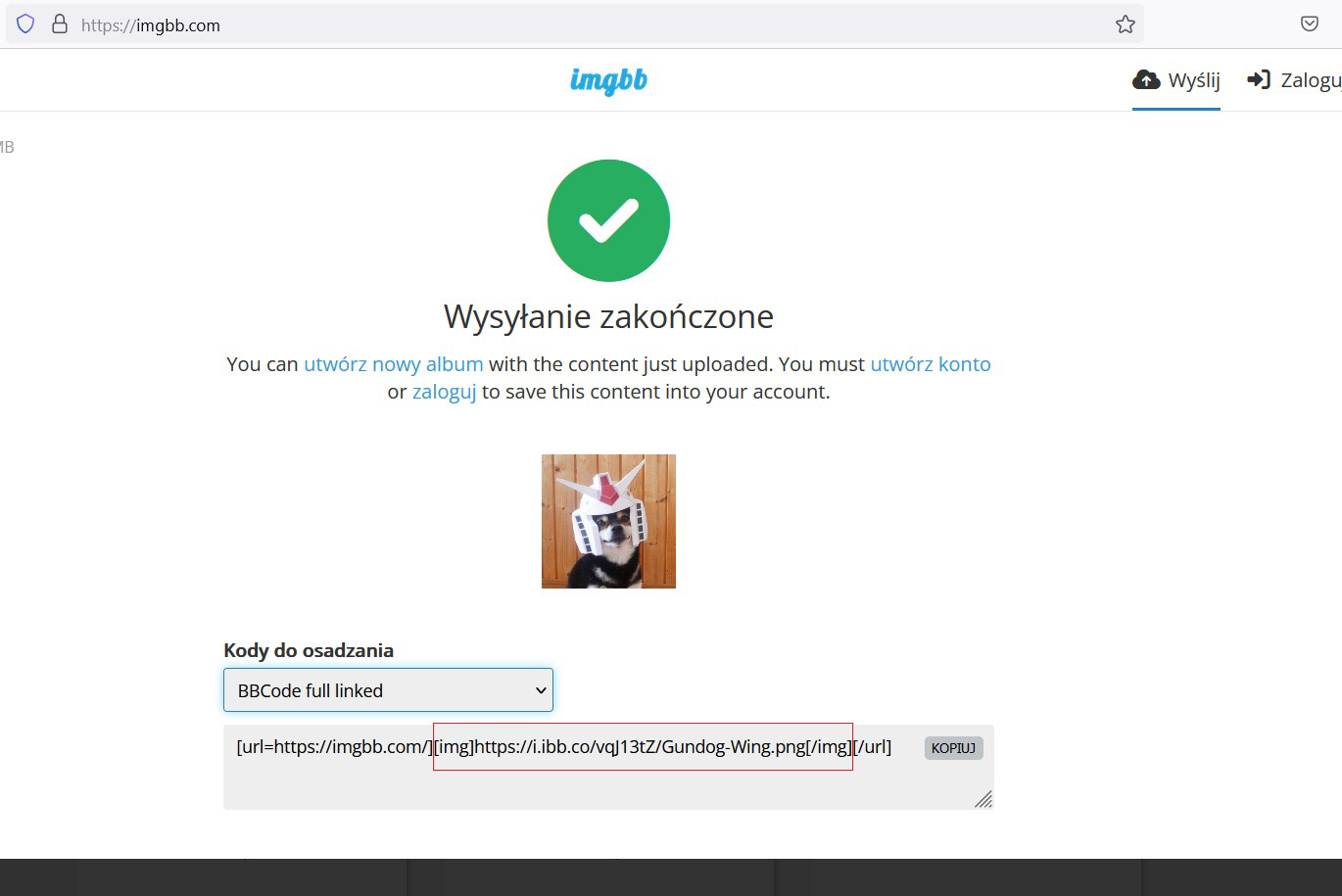 Pokaż wiadomości Rodrigues