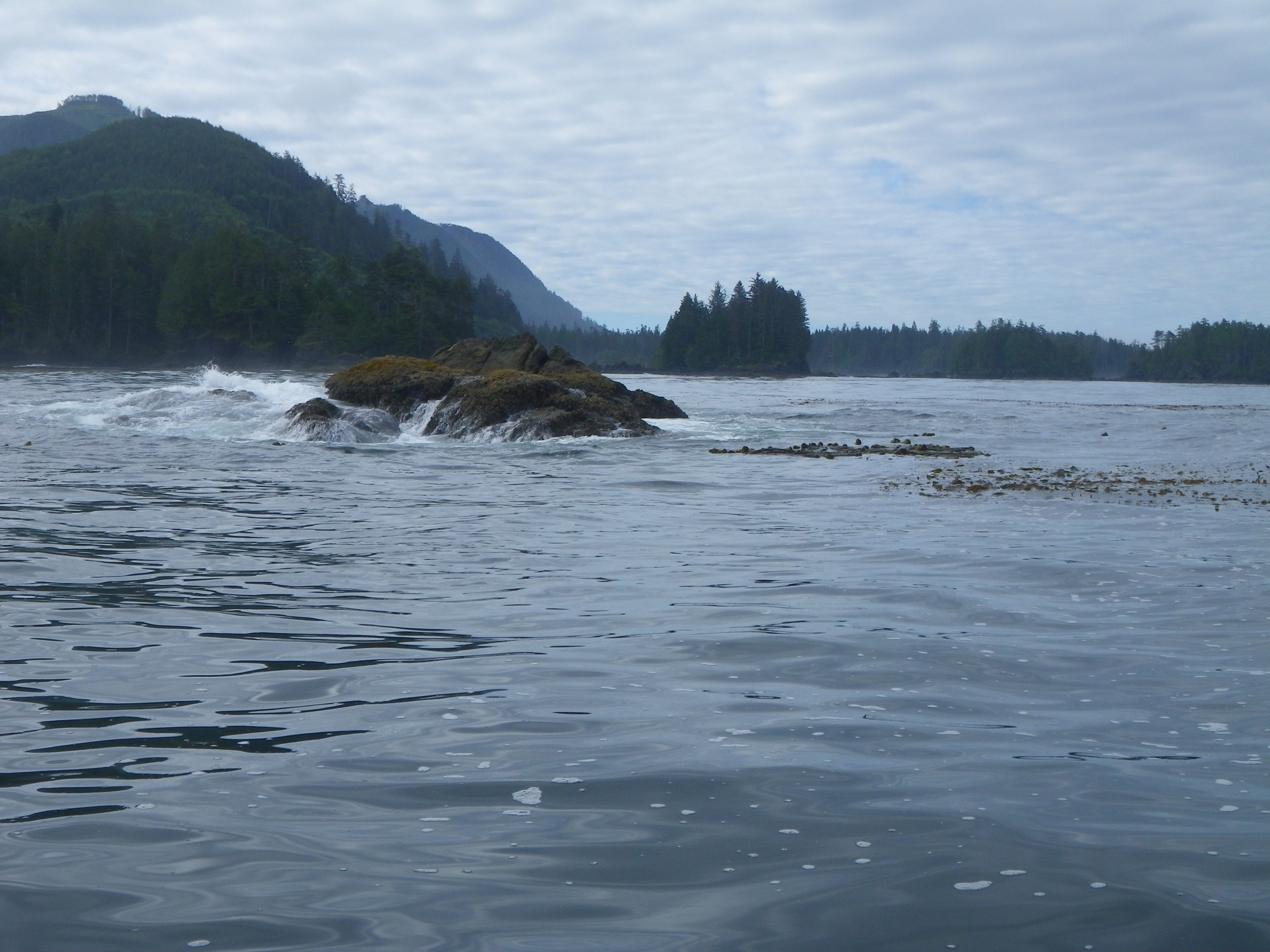 Random Pics from Recent Quatsino Sound BC trip/NW Coast Vancouver