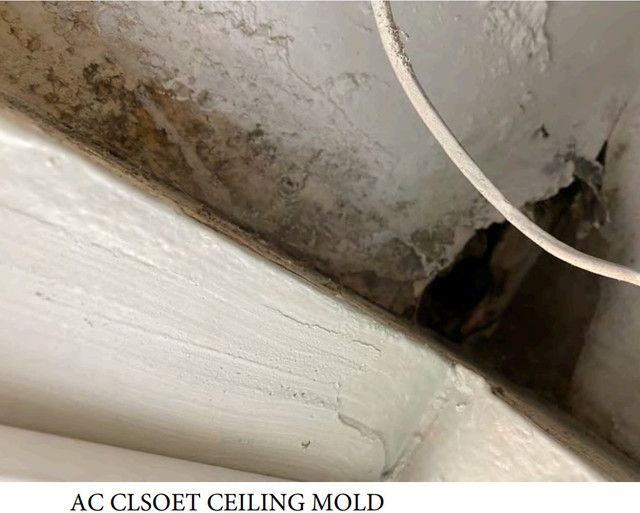Mold in AC Closet