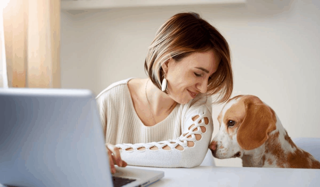 The Undeniable Fact About Pets Insurance Main Office That Noone Is