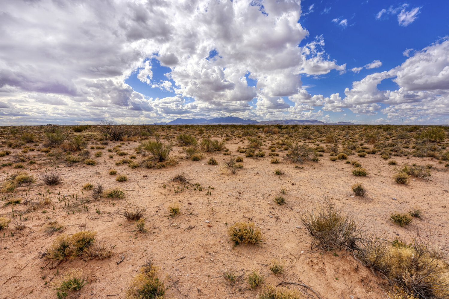 New Mexico Listings — Hemingway Land