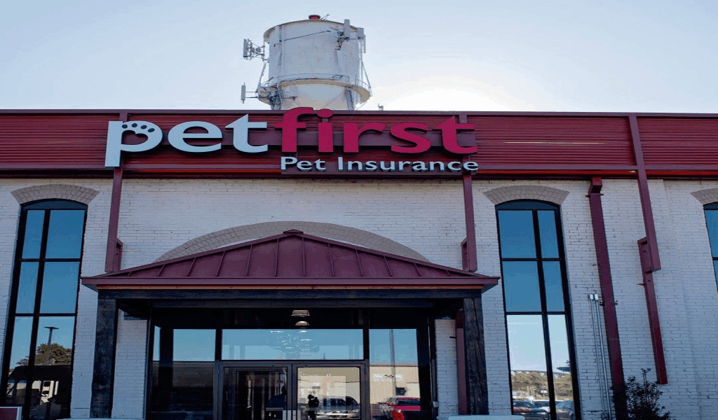The Best Solution For Best Pets Insurance Company In The World As You