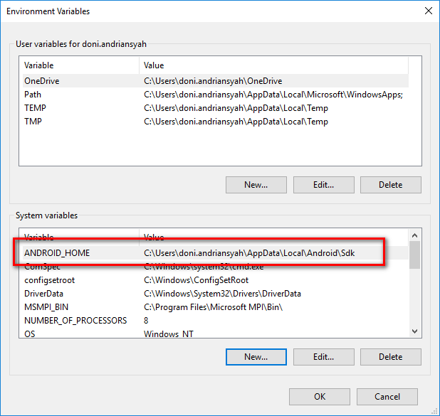 How to Set Environment Variable for Android