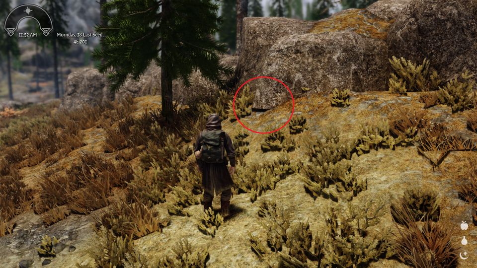 Skyrim Landscape and Water Fixes at Skyrim Special Edition Nexus Mods