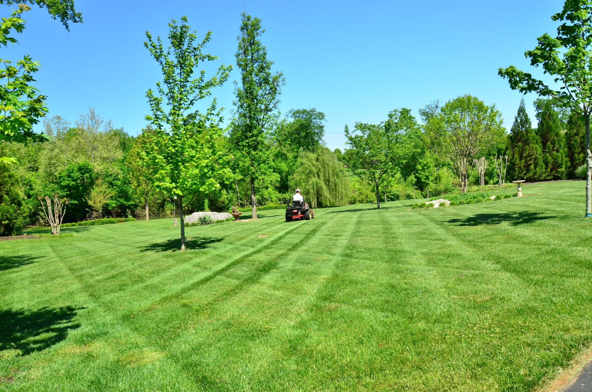 How to Trim Lawn Edges Home Improvement Press