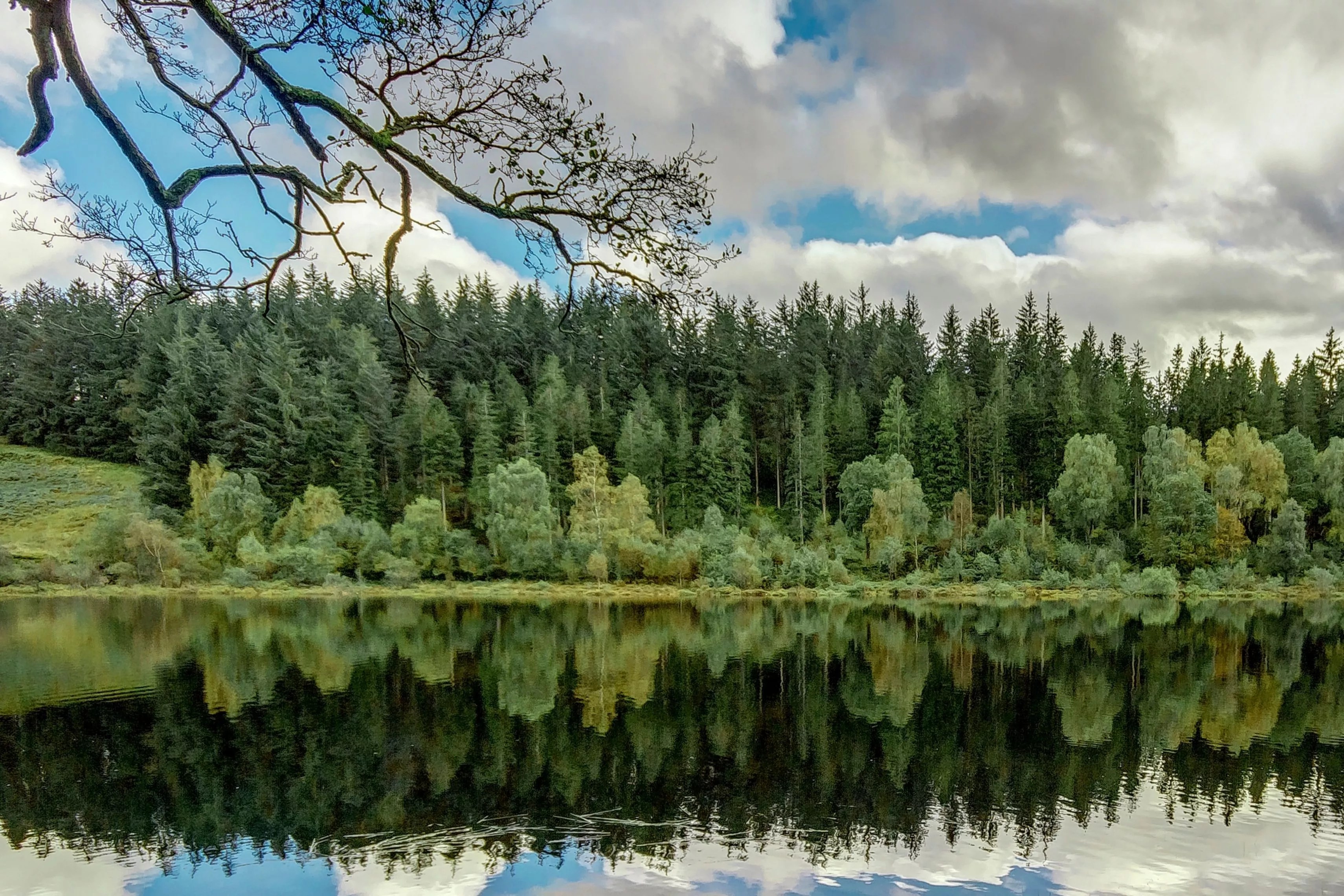 All Around Loch Lomond Scotland Blog