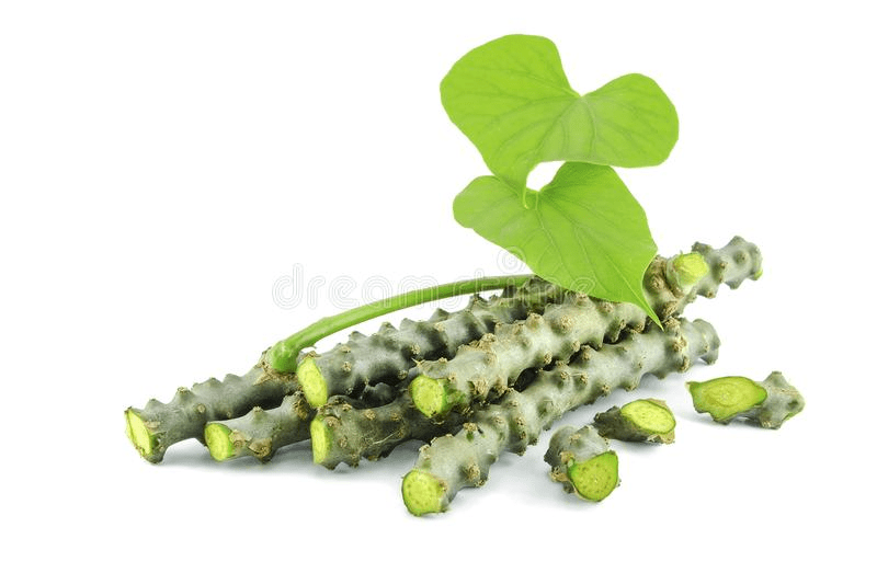 Best Ayurvedic Herbs for Liver Repair Health Engagement