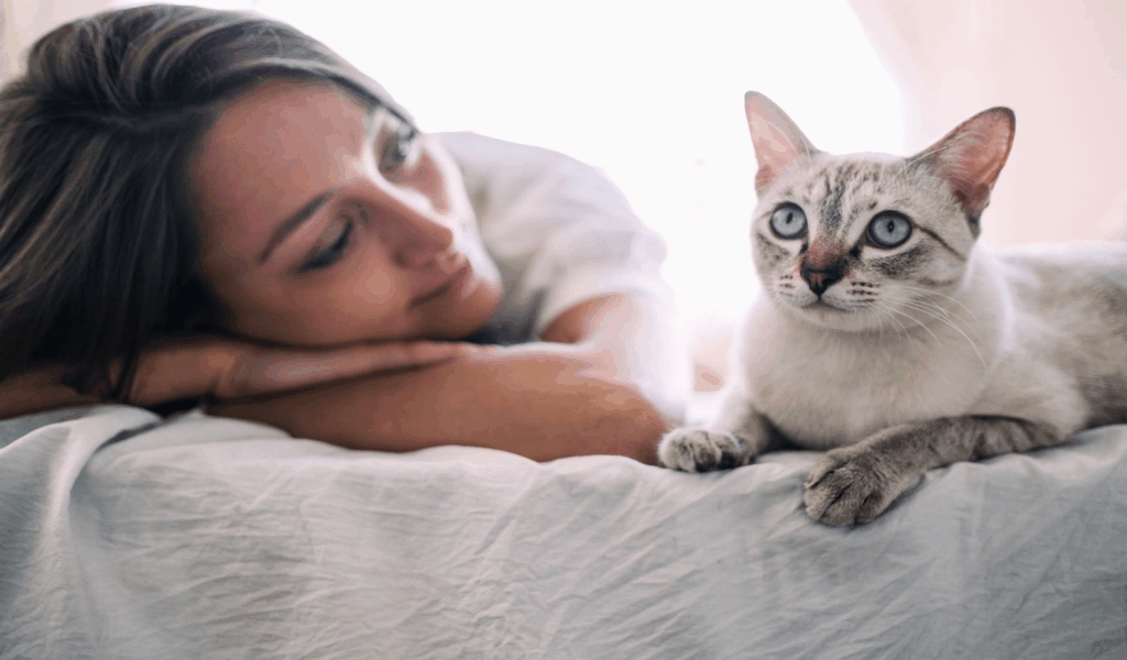 5 Easy Details About Luxury Healthy Pets Insurance Explained Fun Pets