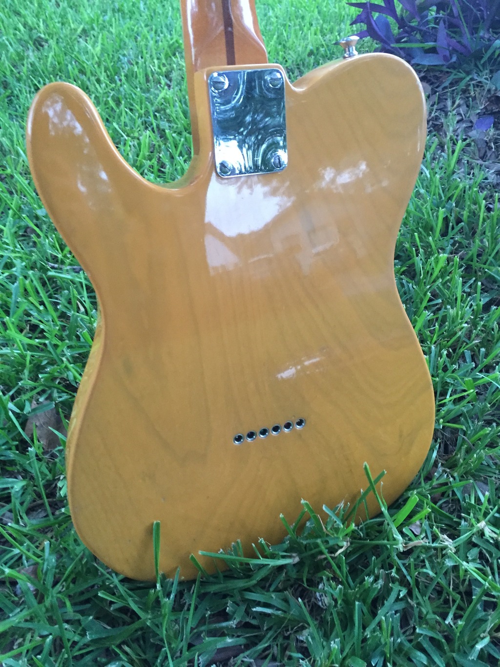 BUCKLE RASH Only, Just, and All, with a bad rash Page 2 The Gear Page