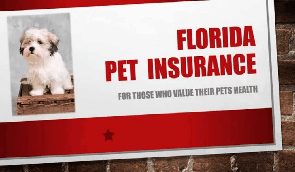 The Ugly Side Of Monthly Happy Pets Insurance Fun Pets